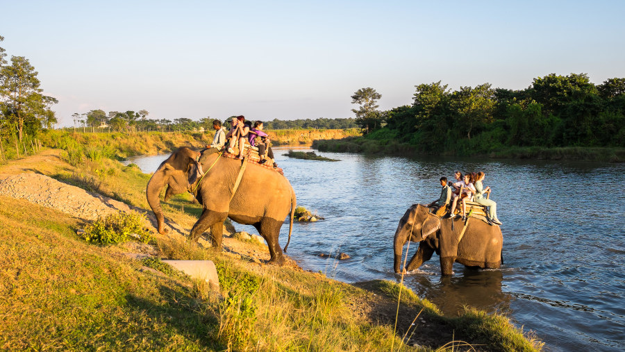 Elephant Safari at Chitwan National Park, Nepal