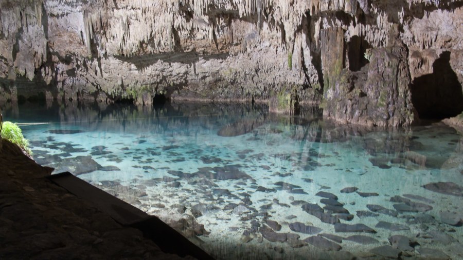 Cenote In Tulum, Mexico