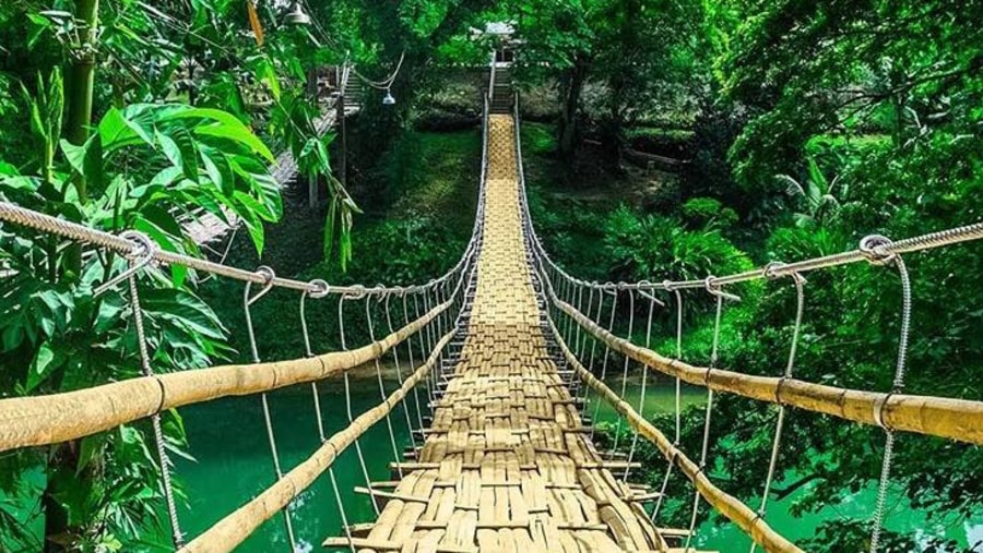 Sevilla Bamboo Hanging Bridge, Bohol Countryside