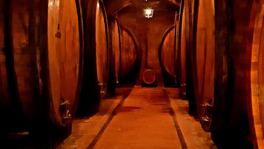 Historical Cellar in Montepulciano