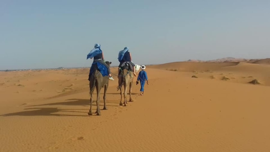 Camel rides on sand dunes