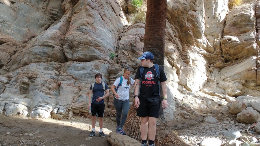 Travelers in Palm Springs