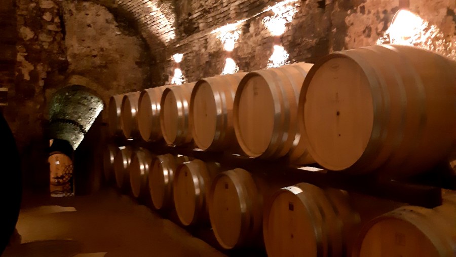Wine cellars of Florence Countryside
