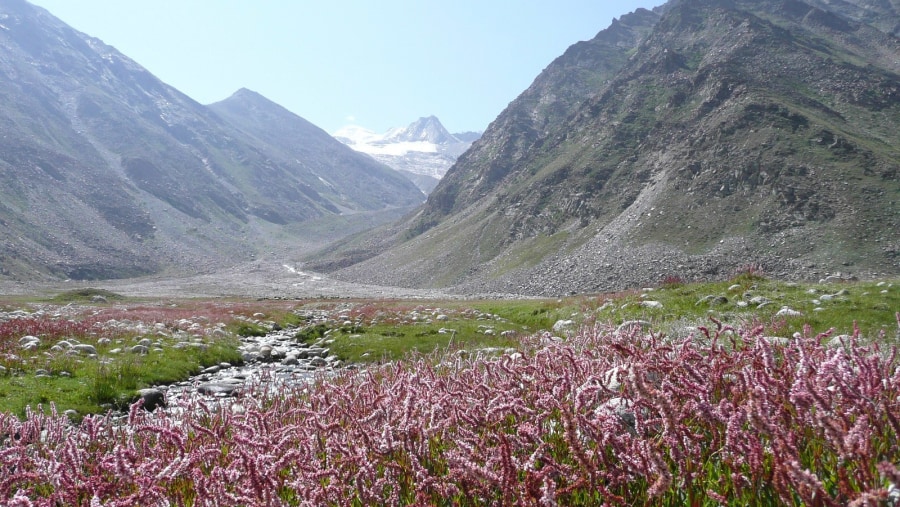 On the way to Kaza