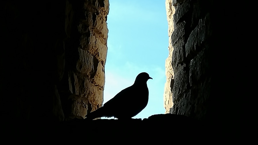 Inside a tower of Izborsk fortress