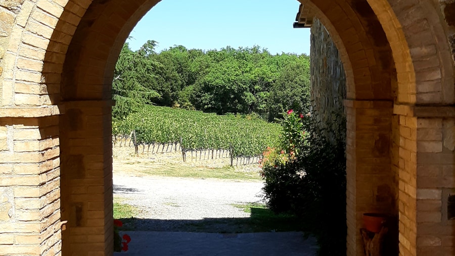 Taste wines in Tuscan Countryside