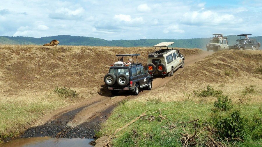 Tarangire National Park Jeep Safari