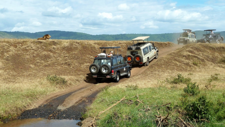 Experience fun game drives at the Ngorongoro crater