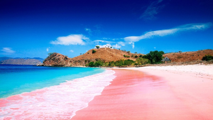 Explore the stunning Pink Beach