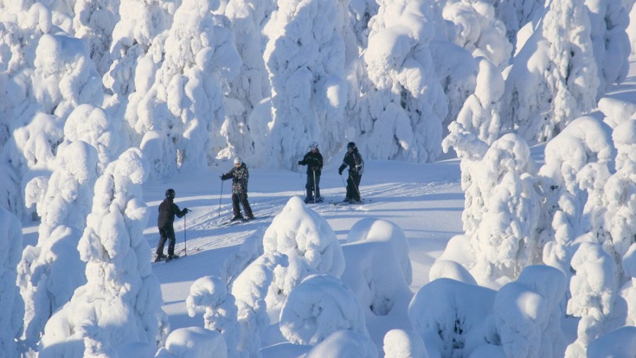 The Snow Laden Paths in Lapland