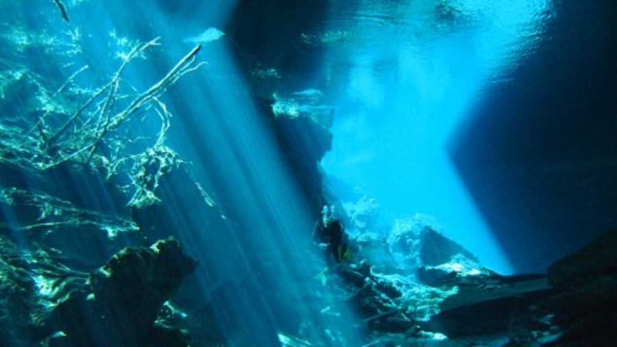 Diving in Cenotes, Playa Del Carmen