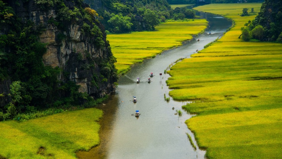 Sampan boat ride.