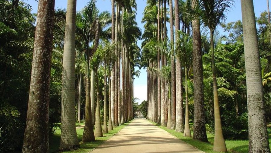 Botanical Garden