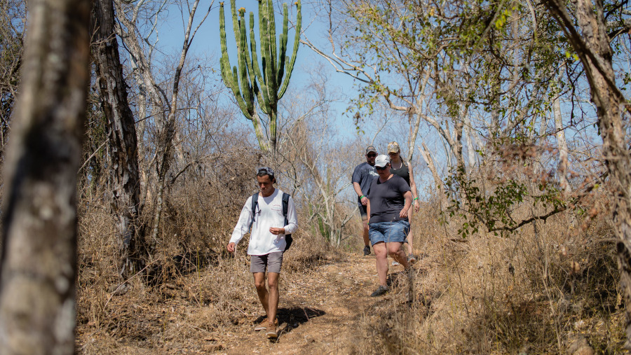 Blue Agave Trail Hike