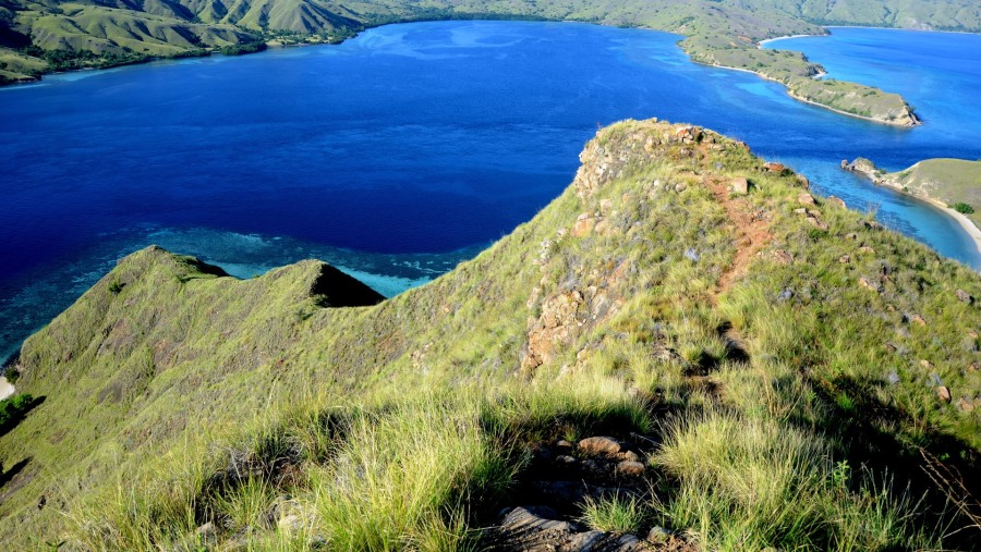 The Komodo Island