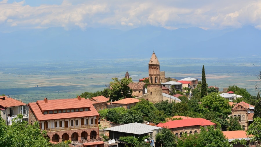 View of the Kakheti city