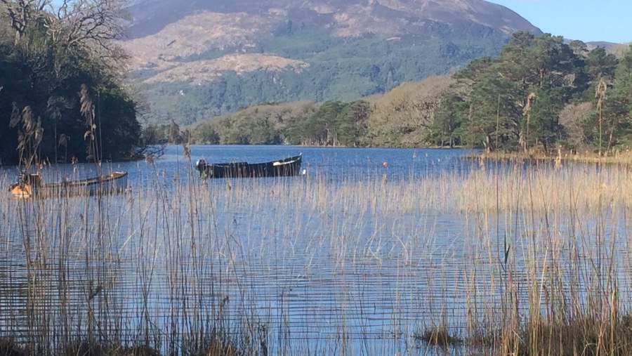 Admire the lake ahead of Muckross in Killarney