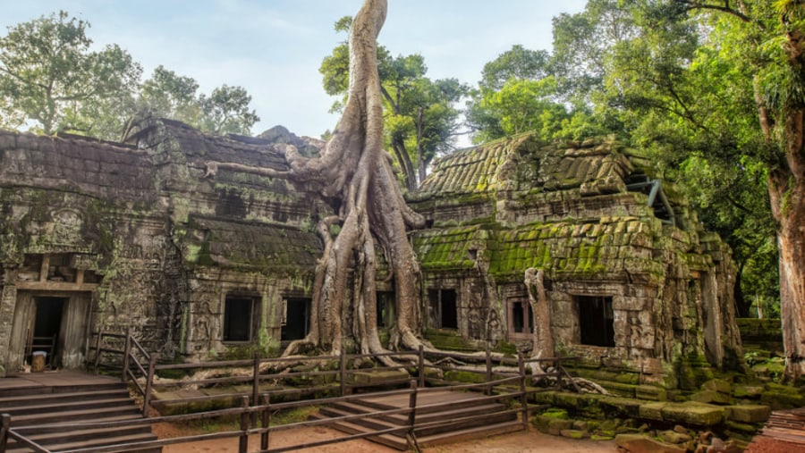 Ta Prohm Temple