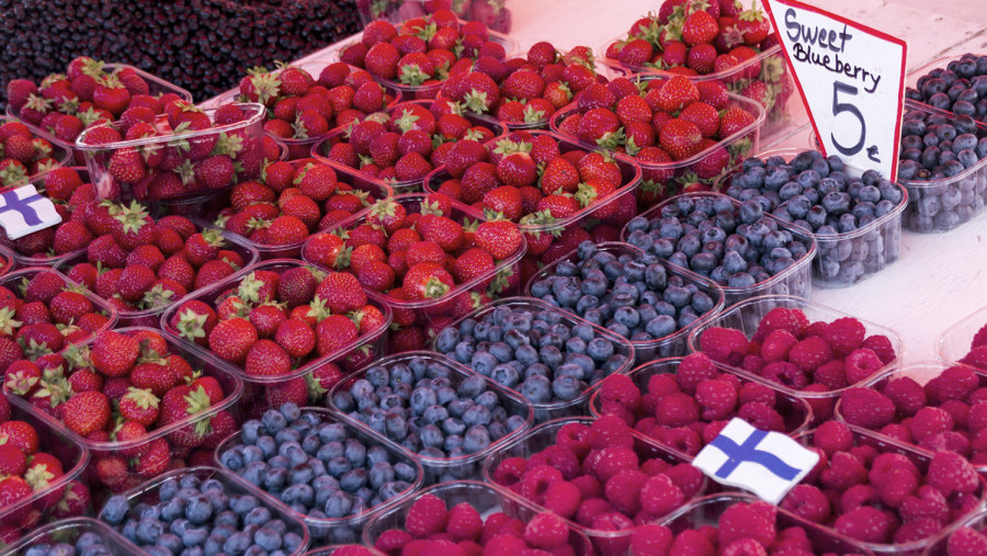 Finnish Berries