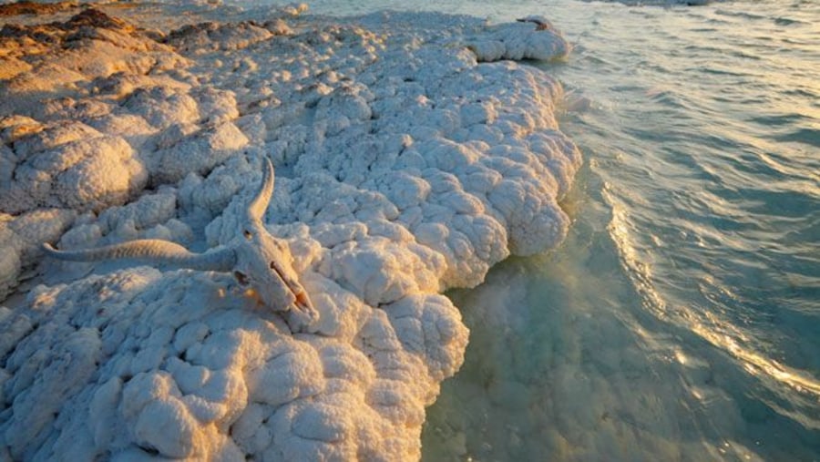 Lake Assal, Ethiopia