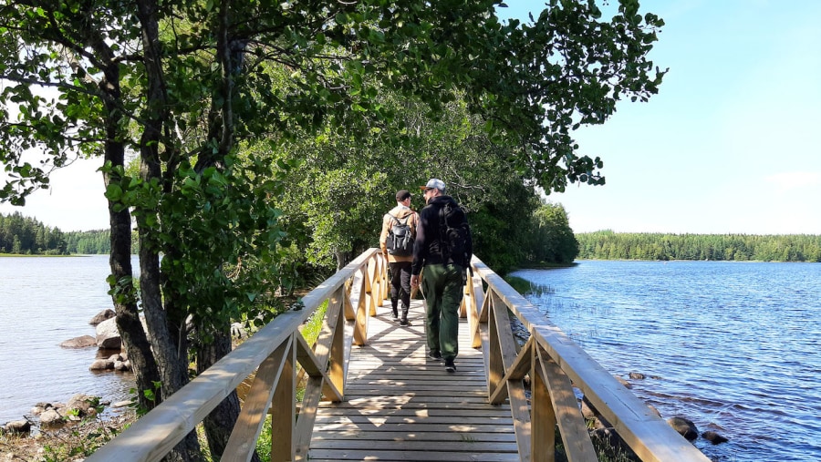 Walk in Liesjärvi National park