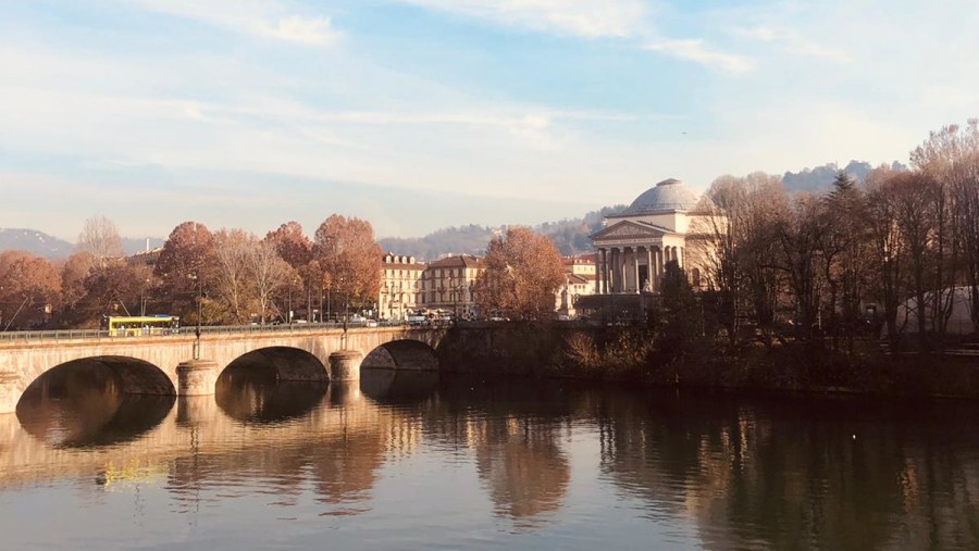 Turin Bridges