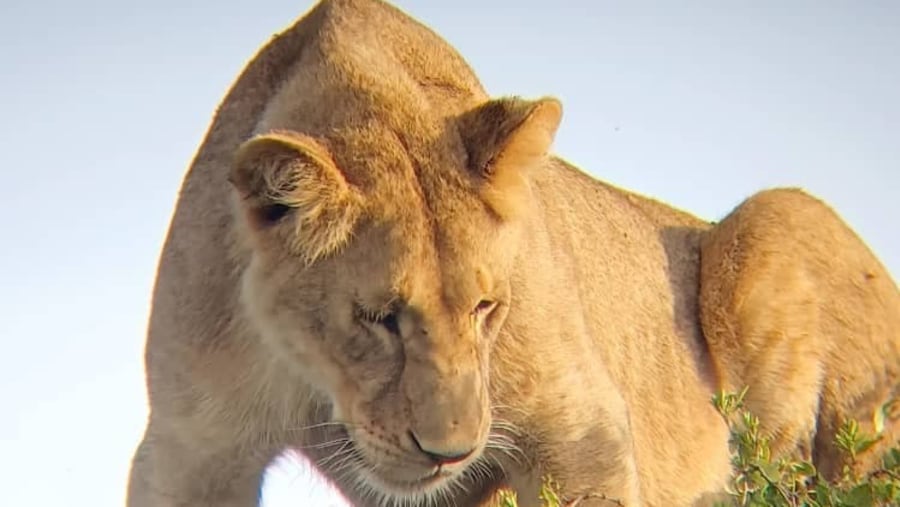 Tarangire National Park