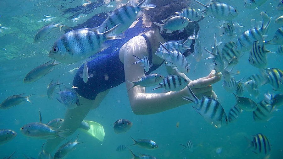 Swimming with Fishes in White Sand Island