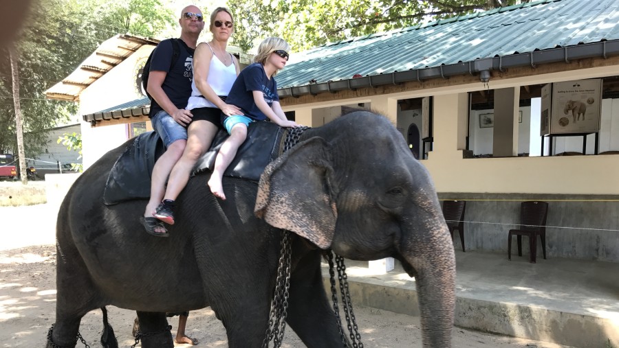 Elephant ride in Sigiriya