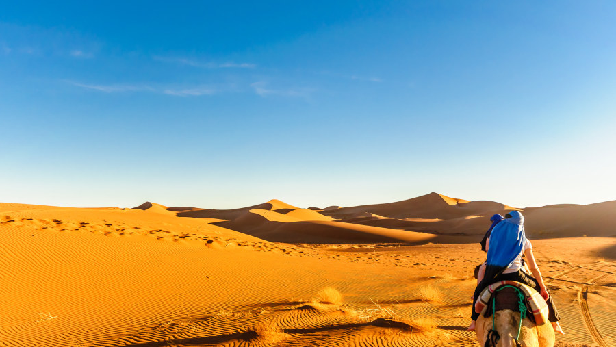 Sand Dunes of Merzouga