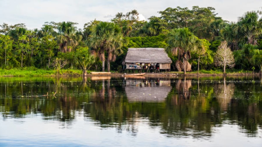 Pacaya-Samiria National Reserve