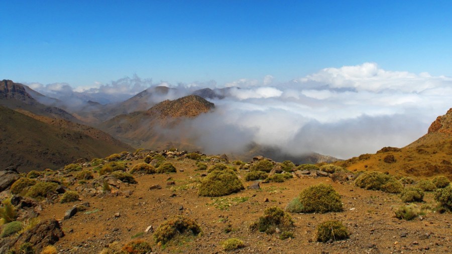 Marvel at the majestic views of the Atlas mountains