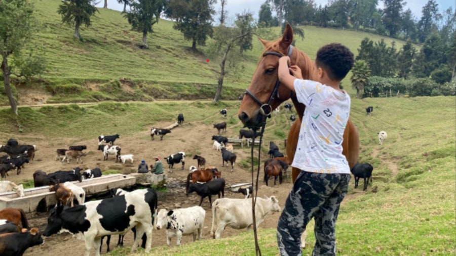 Mushaki Farm, Republic of Congo