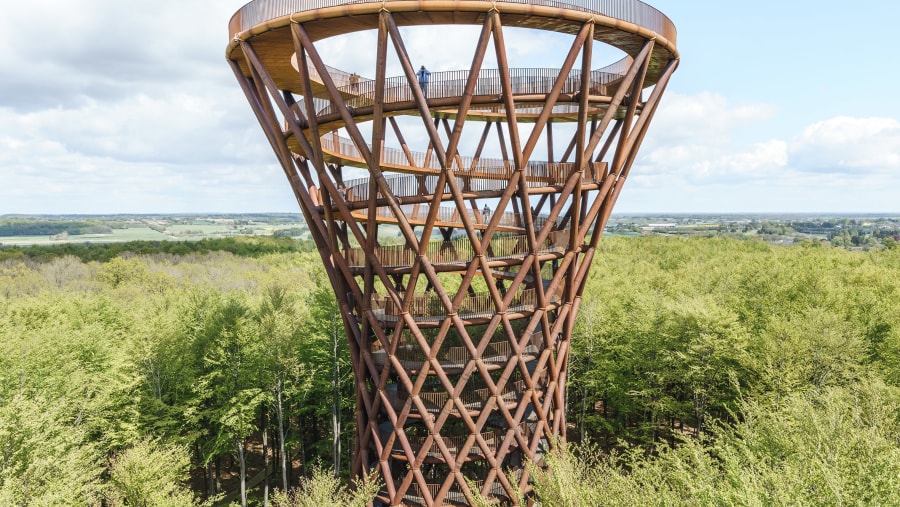 Climb the Forest Tower in Denmark