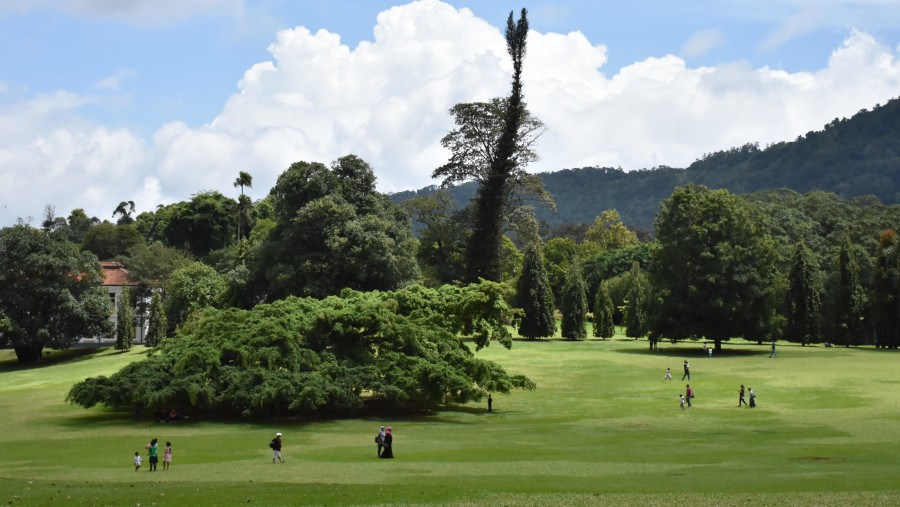 Peradeniya Botanical Gardens