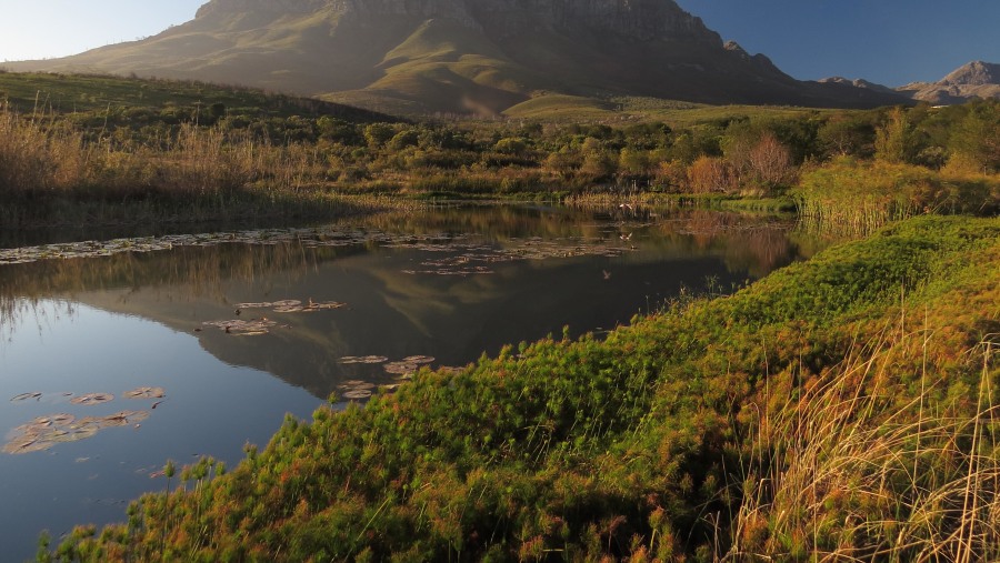 Helderberg Nature Reserve In Cape Town