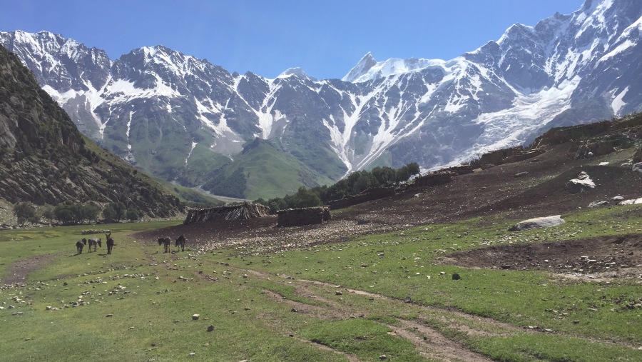 Hiking tour in Gilgit