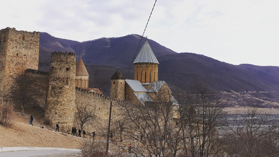 Explore the Ananuri Fortress