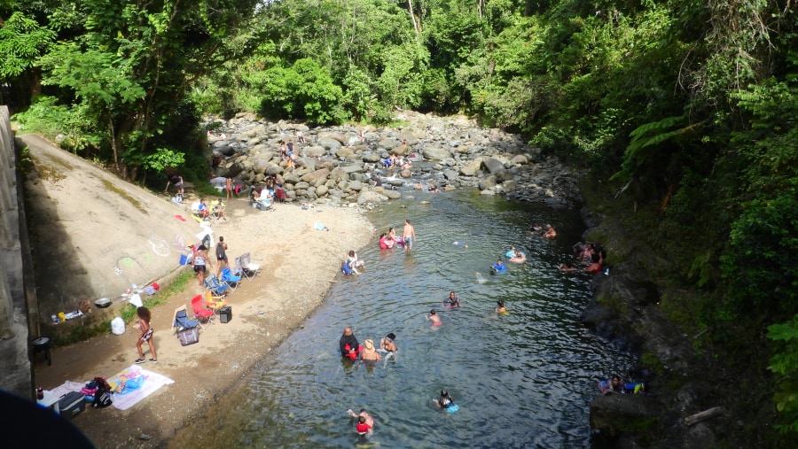 El Yunque Nature Walk Tour