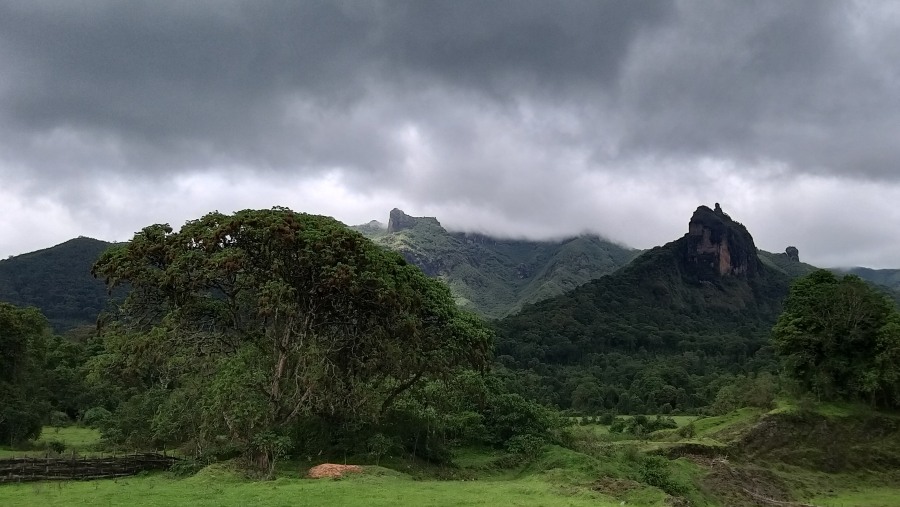 Rift valley