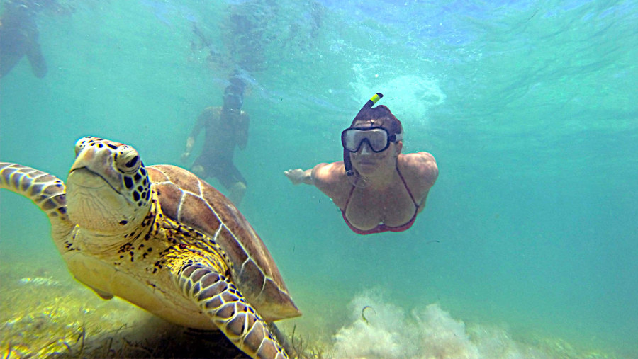 Akumal Bay Snorkelling