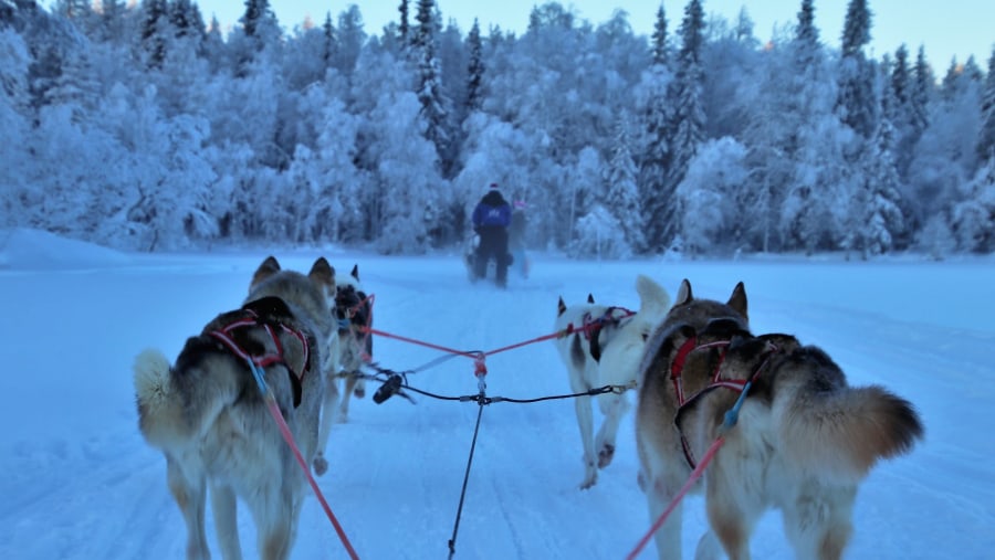 Ride with the Huskies!