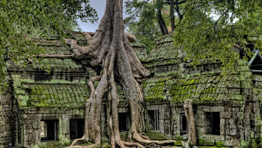 Explore Siem Reap