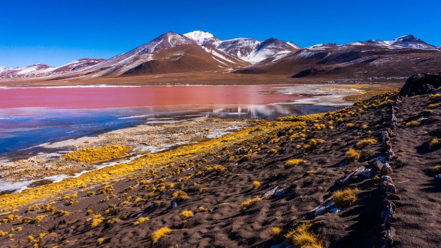 Laguna Colorada (Red Lagoon), Uyuni