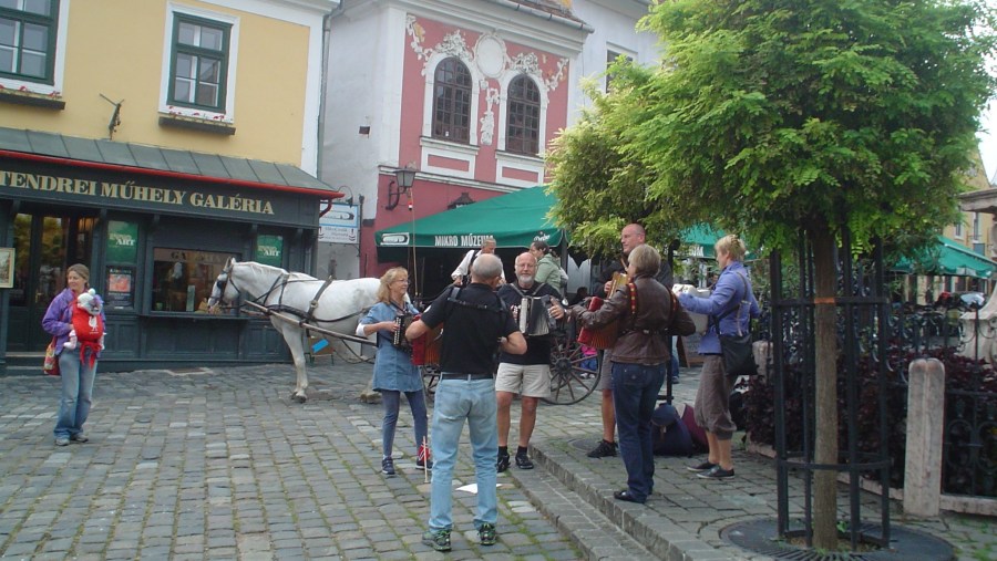 local musicians 