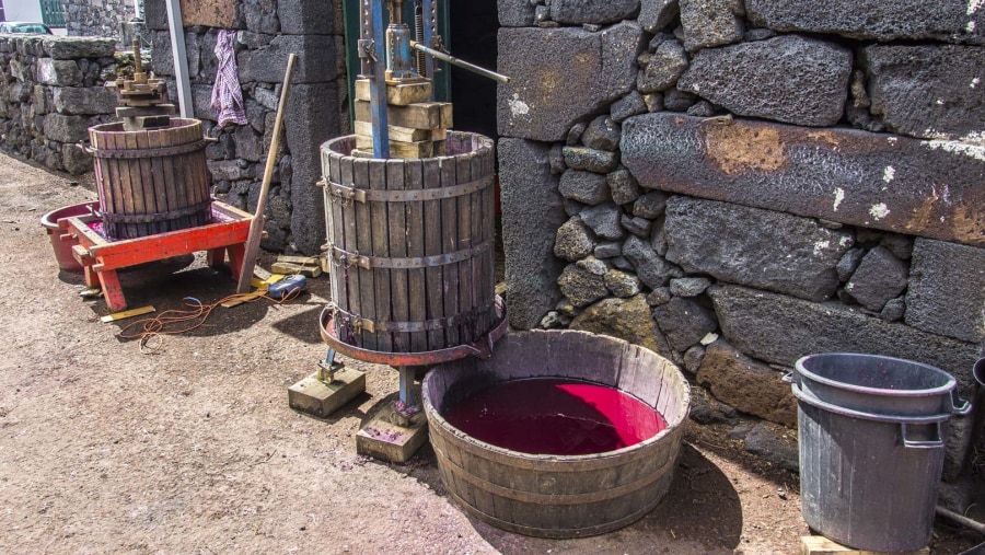 Traditional wine making