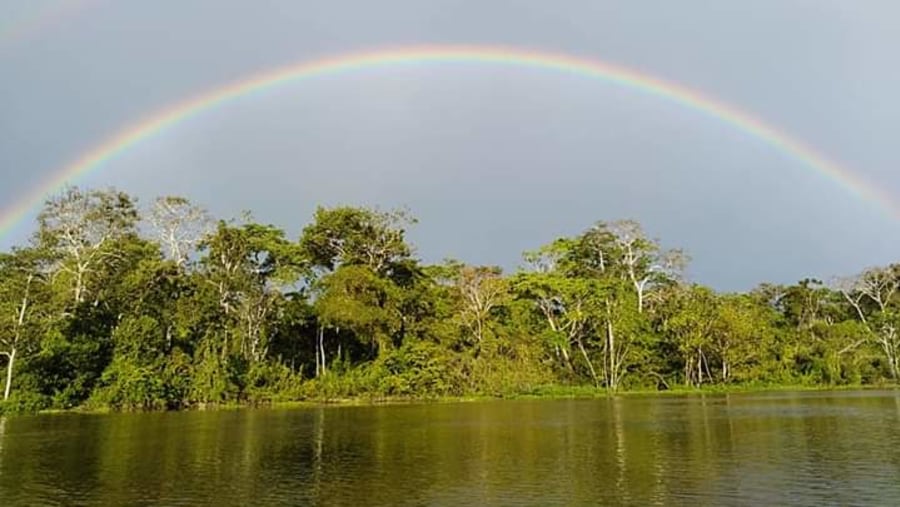 Amazon River