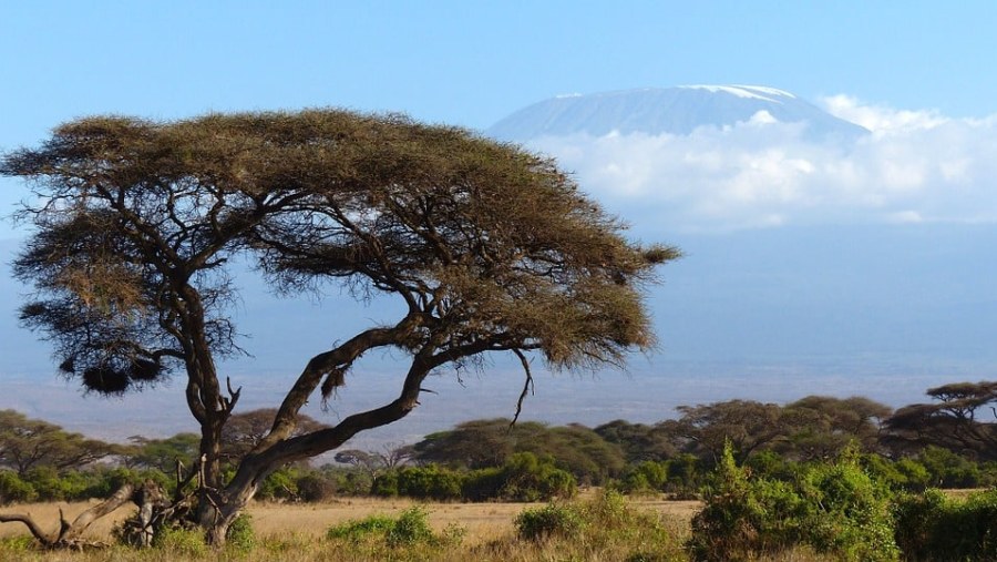 View of Mount Kilimanjaro from Amboseli
