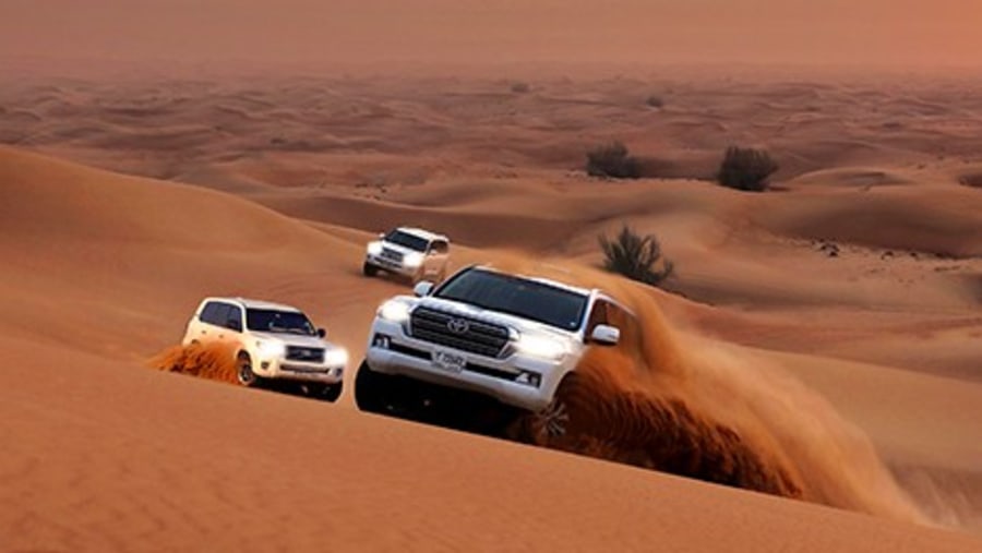 Enjoy a desert safari