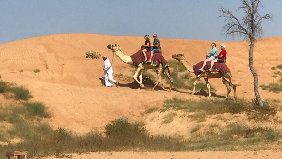 Camel trek in RAK Desert